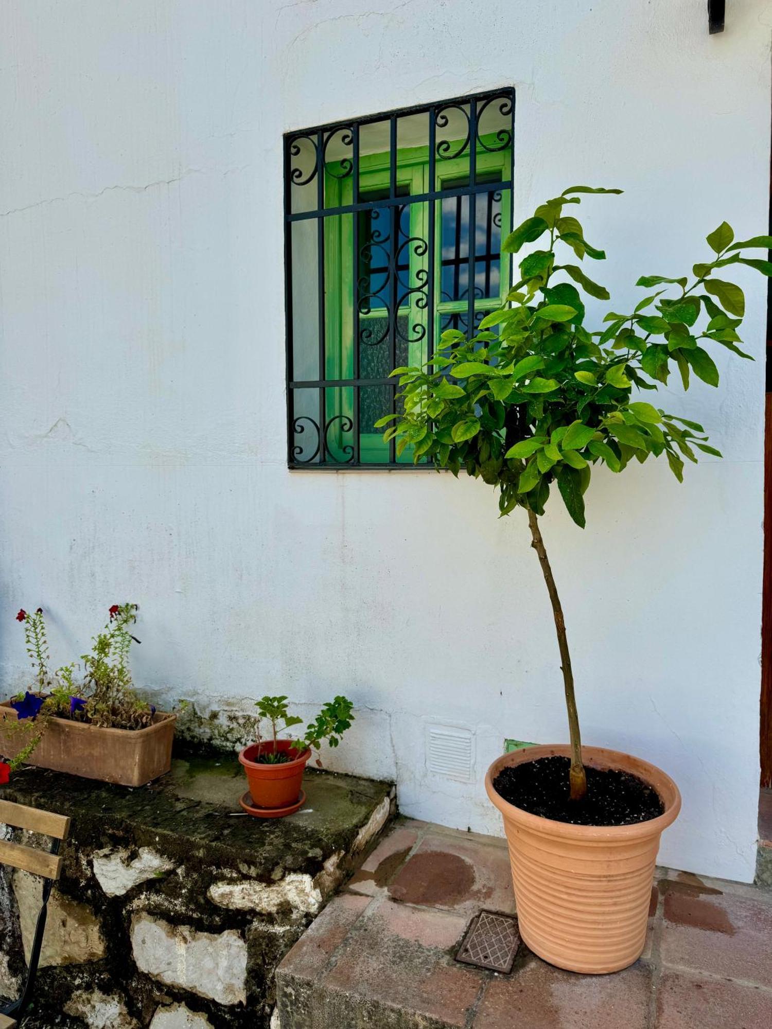 Hébergement de vacances Casa Leon *